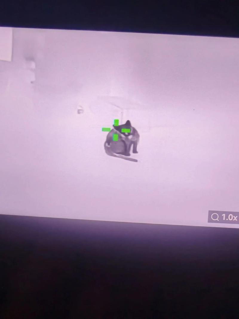 羊肉放冰箱冷藏可以保存多久